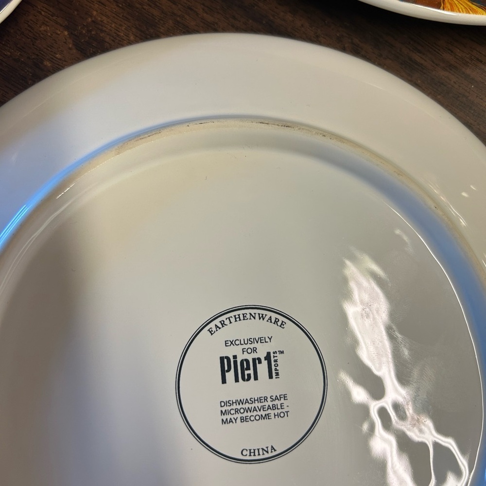 Pier 1 White Earthenware Plate - Picture 6 of 6